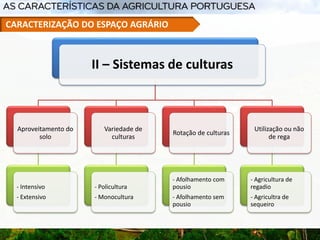 II – Sistemas de culturas
Aproveitamento do
solo
- Intensivo
- Extensivo
Variedade de
culturas
- Policultura
- Monocultura
Rotação de culturas
- Afolhamento com
pousio
- Afolhamento sem
pousio
Utilização ou não
de rega
- Agricultura de
regadio
- Agricultra de
sequeiro
CARACTERIZAÇÃO DO ESPAÇO AGRÁRIO
 