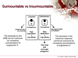 Surmountable vs InsurmountableSurmountable vs Insurmountable
U.S. Pharm. 2004;10:HS19-HS25
Losartan Telmisartan
The blockade by the
ARB can be overcome
by increasing
concentrations of
angiotensin II.
The decrease in the
maximum response
cannot be overcome by
increasing concentrations
of angiotensin II
 