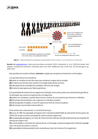 Figura 1 – Representação da adaptação de populações leste-asiáticas a um coronavírus no passado.
Baseado em www.publico.pt e phys.org (consultados em outubro 2021) e Alexandrov, K. et al. (2021) An ancient viral
epidemic involving host coronavirus interacting genes more than 20,000 years ago in East Asia. Current Biology 31, pp.
3504–3514
Nas questões de escolha múltipla, selecione a opção que completa corretamente as afirmações.
1. A pressão arterial nos mamíferos
(A) pode ser medida ao nível dos vasos que conduzem sangue até ao coração.
(B) é máxima ao nível da aorta, devido à circulação dupla destes animais.
(C) não depende da contração das cavidades inferiores do coração.
(D) é determinada apenas por fatores genéticos.
2. A quantidade de vitaminaDnumorganismoé afetada,entre outras,pelassuas características genéticas.
As alterações que ocorrem no genoma de um organismo
(A) podem ser vantajosas, quando determinam a síntese de uma proteína que favorece o indivíduo.
(B) são sempre desvantajosas, pois originam um indivíduo mutante.
(C) são designadas mutações, e ocorrem apenas ao nível do número de genes.
(D) são sempre transmitidas à descendência.
3. De acordo com o documento 1, é correto afirmar que
(A) cerca de 40% da população portuguesa tem reduzida probabilidade de apresentar formas graves de
COVID-19, tendo em conta a produção de vitamina D pelo organismo.
(B) na populaçãoportuguesa,os níveisde vitaminaD não implicamatençãorelativamente aosimpactes de
doenças de origem viral.
(C) a alimentação é uma fonte de vitamina D que, em Portugal,compensa largamente a falta de exposição
solar nos meses de outono e inverno.
(D) a gravidade da doença poderá estar associada aos níveis de vitamina D no organismo.
genes que interagem com
coronavírus, presentes
em populações doeste
asiático
observado
esperado
pico de adaptaçãoem
pandemia passada
Excessode adaptação em genes que interagem
com coronavírus, empopulações asiáticas tempo de adaptação(milhares de anos)
coronavírus antigo
 