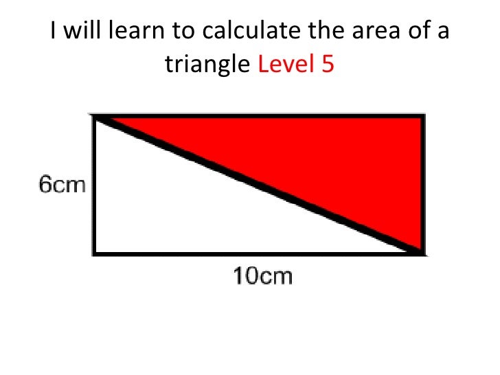 Area Of Rectangles And Triangles Area Of Rectangles And Triangles
