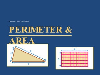 PERIMETER & AREA ,[object Object]
