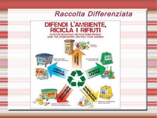 Raccolta Differenziata
 