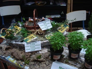 Área de Projecto 12º ano