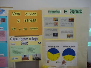 Área de Projecto 12º ano