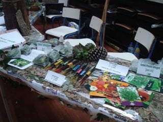 Área de Projecto 12º ano