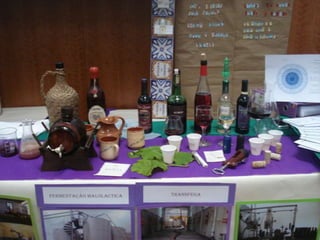 Área de Projecto 12º ano