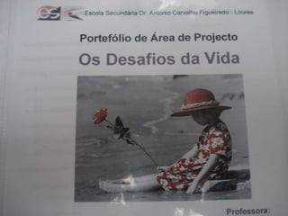 Área de Projecto 12º ano