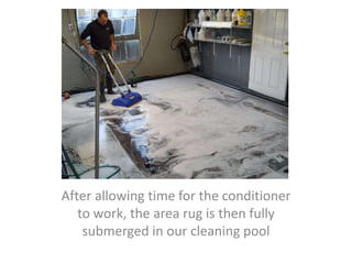 After allowing time for the conditioner
to work, the area rug is then fully
submerged in our cleaning pool
 