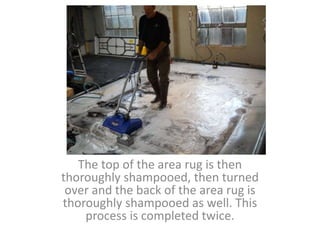 The top of the area rug is then
thoroughly shampooed, then turned
over and the back of the area rug is
thoroughly shampooed as well. This
process is completed twice.
 