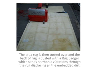 The area rug is then turned over and the
back of rug is dusted with a Rug Badger
which sends harmonic vibrations through
the rug displacing all the embedded dirt
 