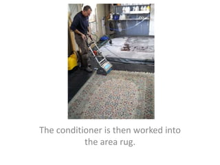 The conditioner is then worked into
the area rug.
 