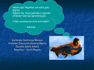 Guillermo Contreras Moreno Profesor Educación General Básica Escuela Santa Amalia Requínoa – Sexta Región Hasta aquí llegamos con esta guía digital. Espero les  haya gustado y logrado afianzar más sus aprendizajes. ¡¡ Nos veremos en otra actividad !! Adiooos.  