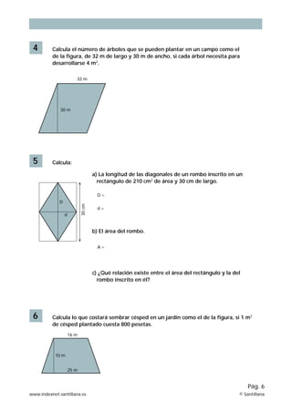 4 Calcula el número de árboles que se pueden plantar en un campo como el 
de la figura, de 32 m de largo y 30 m de ancho, si cada árbol necesita para 
desarrollarse 4 m2. 
30 m 
5 Calcula: 
a) La longitud de las diagonales de un rombo inscrito en un 
rectángulo de 210 cm2 de área y 30 cm de largo. 
D = 
d = 
b) El área del rombo. 
A = 
c) ¿Qué relación existe entre el área del rectángulo y la del 
rombo inscrito en él? 
32 m 
30 cm 
D 
d 
6 Calcula lo que costará sembrar césped en un jardín como el de la figura, si 1 m2 
de césped plantado cuesta 800 pesetas. 
Pág. 6 
10 m 
16 m 
25 m 
www.indexnet.santillana.es © Santillana 
 
