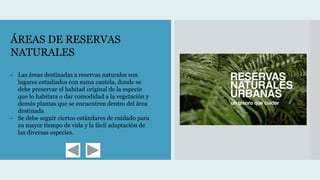 ÁREAS DE RESERVAS
NATURALES
- Las áreas destinadas a reservas naturales son
lugares estudiados con suma cautela, donde se
debe preservar el habitad original de la especie
que lo habitara o dar comodidad a la vegetación y
demás plantas que se encuentren dentro del área
destinada
- Se debe seguir ciertos estándares de cuidado para
su mayor tiempo de vida y la fácil adaptación de
las diversas especies.
 