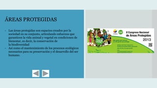 ÁREAS PROTEGIDAS
- Las áreas protegidas son espacios creados por la
sociedad en su conjunto, articulando esfuerzos que
garanticen la vida animal y vegetal en condiciones de
bienestar, es decir, la conservación de
la biodiversidad
- Así como el mantenimiento de los procesos ecológicos
necesarios para su preservación y el desarrollo del ser
humano.
 