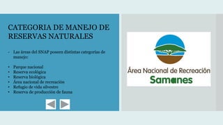 CATEGORIA DE MANEJO DE
RESERVAS NATURALES
- Las áreas del SNAP poseen distintas categorías de
manejo:
• Parque nacional
• Reserva ecológica
• Reserva biológica
• Área nacional de recreación
• Refugio de vida silvestre
• Reserva de producción de fauna
 