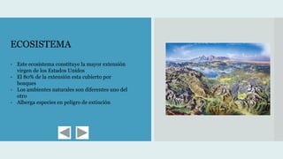 ECOSISTEMA
- Este ecosistema constituye la mayor extensión
virgen de los Estados Unidos
- El 80% de la extensión esta cubierto por
bosques
- Los ambientes naturales son diferentes uno del
otro
- Alberga especies en peligro de extinción
 