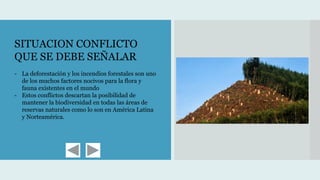 SITUACION CONFLICTO
QUE SE DEBE SEÑALAR
- La deforestación y los incendios forestales son uno
de los muchos factores nocivos para la flora y
fauna existentes en el mundo
- Estos conflictos descartan la posibilidad de
mantener la biodiversidad en todas las áreas de
reservas naturales como lo son en América Latina
y Norteamérica.
 