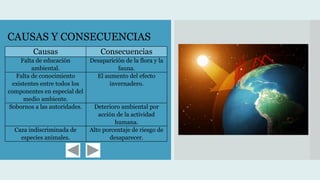 Causas Consecuencias
Falta de educación
ambiental.
Desaparición de la flora y la
fauna.
Falta de conocimiento
existentes entre todos los
componentes en especial del
medio ambiente.
El aumento del efecto
invernadero.
Sobornos a las autoridades. Deterioro ambiental por
acción de la actividad
humana.
Caza indiscriminada de
especies animales.
Alto porcentaje de riesgo de
desaparecer.
CAUSAS Y CONSECUENCIAS
 