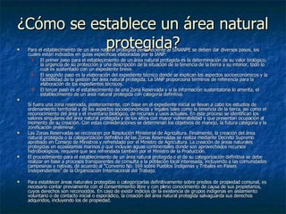 ¿Cómo se establece un área natural protegida? Para el establecimiento de un área natural protegida perteneciente al SINANPE se deben dar diversos pasos, los cuales están indicados en guías específicas elaboradas por la IANP: El primer paso para el establecimiento de un área natural protegida es la determinación de su valor biológico, la urgencia de su protección y una descripción de la situación de la tenencia de la tierra a su interior, todo lo cual es sustentado con un expediente breve. El segundo paso es la elaboración del expediente técnico donde se explican los aspectos socioeconómicos y la factibilidad de la gestión del área natural protegida. La IANP proporciona términos de referencia para la elaboración de los expedientes técnicos. El tercer paso es el establecimiento de una Zona Reservada y si la información sustentatoria lo amerita, el establecimiento de un área natural protegida con categoría definitiva. Si fuera una zona reservada, posteriormente, con base en el expediente inicial se llevan a cabo los estudios de ordenamiento territorial y de los aspectos socioeconómicos y legales tales como la tenencia de la tierra, así como el reconocimiento del área y el inventario biológico, de recursos y usos actuales. En este proceso se identifican los valores singulares del área natural protegida y de los sitios con mayor vulnerabilidad y que presentan ocupación al momento de su creación. Con estas consideraciones se determinan los objetivos de manejo, la futura categoría y la zonificación preliminar. Las Zonas Reservadas se reconocen por Resolución Ministerial de Agricultura. Finalmente, la creación del área natural protegida o la categorización definitiva de las Zonas Reservadas se realiza mediante Decreto Supremo aprobado en Consejo de Ministros y refrendado por el Ministro de Agricultura. La creación de áreas naturales protegidas en ecosistemas marinos o que incluyan aguas continentales donde son aprovechados recursos hidrobiológicos, requiere que sea refrendada también por el Ministro de la Producción.  El procedimiento para el establecimiento de un área natural protegida o el de su categorización definitiva se debe realizar en base a procesos transparentes de consulta a la población local interesada, incluyendo a las comunidades campesinas y nativas, de acuerdo al “Convenio No. 169 sobre Pueblos Indígenas y Tribales en Países Independientes” de la Organización Internacional del Trabajo.   Para establecer áreas naturales protegidas o categorizarlas definitivamente sobre predios de propiedad comunal, es necesario contar previamente con el consentimiento libre y con pleno conocimiento de causa de sus propietarios, cuyos derechos son reconocidos. En caso de existir indicios de la existencia de grupos indígenas en aislamiento voluntario o de contacto inicial o esporádico, la creación del área natural protegida salvaguarda sus derechos adquiridos, incluyendo los de propiedad. 
