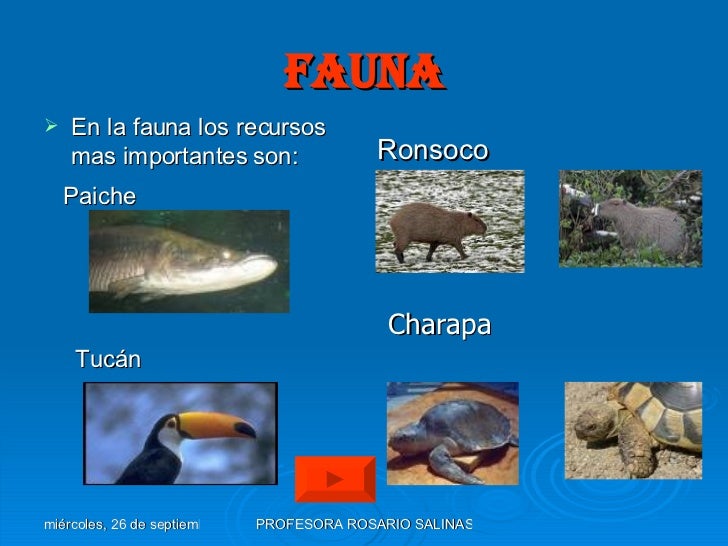 Resultado de imagen para sullana fauna