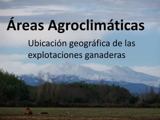 Áreas Agroclimáticas
Ubicación geográfica de las
explotaciones ganaderas
 