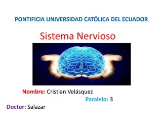 Sistema Nervioso
Nombre: Cristian Velásquez
Paralelo: 3
Doctor: Salazar
 