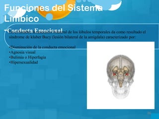 Funciones del Sistema
Límbico
-Conducta EmocionalEn el hombre la resección bilateral de los lóbulos temporales da como resultado el
síndrome de kluber Bucy (lesión bilateral de la amígdala) caracterizado por:
•Disminución de la conducta emocional
•Agnosia visual
•Bulimia o Hiperfagia
•Hipersexualidad
36
 