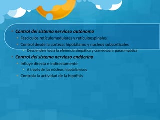 • Control del sistema nervioso autónomo
• Fascículos retículomedulares y retículoespinales
• Control desde la corteza, hipotálamo y nucleos subcorticales
• Descienden hacia la eferencia simpática y craneosacra parasimpática
• Control del sistema nervioso endócrino
• Influye directa e indirectamente
• A través de los núcleos hipotalámicos
• Controla la actividad de la hipófisis
 
