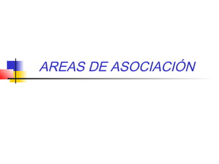 AREAS DE ASOCIACIÓN
 