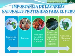 INSTITUTO PERUANO DE DERECHO
                                      AMBIENTAL Y PATRIMONIO CULTURAL




                                      Protección
                        Productos     de cuencas
                                                          Captación y
Producción               forestales   y control de
             Turismo.                                     fijación de
  de agua               distintos a   sedimentos
                                                           carbono
                        la madera.      para las
                                        represas
 