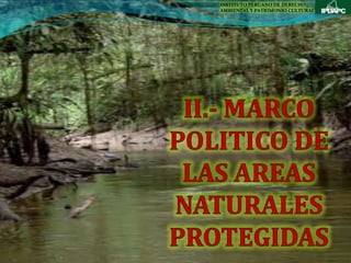 INSTITUTO PERUANO DE DERECHO
AMBIENTAL Y PATRIMONIO CULTURAL
 