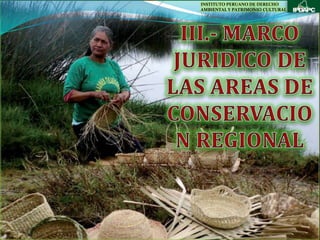 INSTITUTO PERUANO DE DERECHO
AMBIENTAL Y PATRIMONIO CULTURAL
 