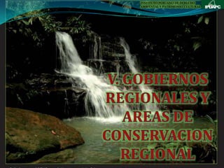 INSTITUTO PERUANO DE DERECHO
AMBIENTAL Y PATRIMONIO CULTURAL
 