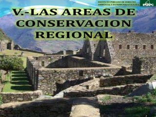 INSTITUTO PERUANO DE DERECHO
AMBIENTAL Y PATRIMONIO CULTURAL
 