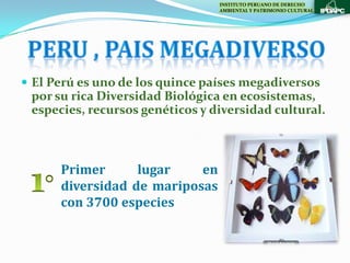 INSTITUTO PERUANO DE DERECHO
                                 AMBIENTAL Y PATRIMONIO CULTURAL




 El Perú es uno de los quince países megadiversos
 por su rica Diversidad Biológica en ecosistemas,
 especies, recursos genéticos y diversidad cultural.



      Primer      lugar    en
      diversidad de mariposas
      con 3700 especies
 