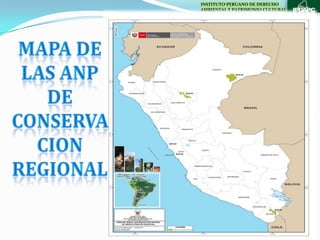 INSTITUTO PERUANO DE DERECHO
AMBIENTAL Y PATRIMONIO CULTURAL
 