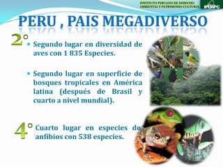 INSTITUTO PERUANO DE DERECHO
                                AMBIENTAL Y PATRIMONIO CULTURAL




PERU , PAIS MEGADIVERSO
  Segundo lugar en diversidad de
  aves con 1 835 Especies.

  Segundo lugar en superficie de
  bosques tropicales en América
  latina (después de Brasil y
  cuarto a nivel mundial).


   Cuarto lugar en especies de
   anfibios con 538 especies.
 
