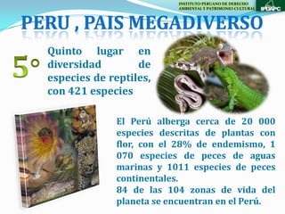 INSTITUTO PERUANO DE DERECHO
                            AMBIENTAL Y PATRIMONIO CULTURAL



PERU , PAIS MEGADIVERSO
  Quinto lugar en
  diversidad        de
  especies de reptiles,
  con 421 especies

                El Perú alberga cerca de 20 000
                especies descritas de plantas con
                flor, con el 28% de endemismo, 1
                070 especies de peces de aguas
                marinas y 1011 especies de peces
                continentales.
                84 de las 104 zonas de vida del
                planeta se encuentran en el Perú.
 