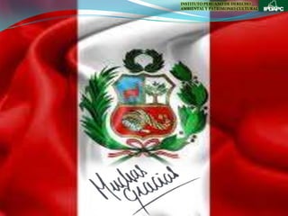 INSTITUTO PERUANO DE DERECHO
AMBIENTAL Y PATRIMONIO CULTURAL
 