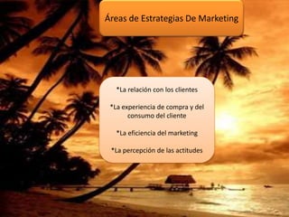Áreas de Estrategias De Marketing *La relación con los clientes *La experiencia de compra y del consumo del cliente  *La eficiencia del marketing *La percepción de las actitudes  