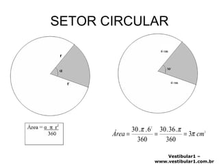 SETOR CIRCULAR 