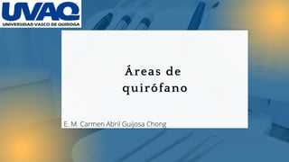 Áreas de
quirófano


E. M. Carmen Abril Guijosa Chong
 