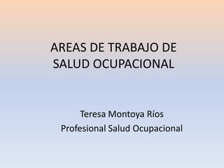 AREAS DE TRABAJO DE SALUD OCUPACIONAL Teresa Montoya Ríos Profesional Salud Ocupacional 