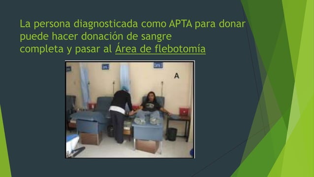 Areas de un banco de sangre | PPT