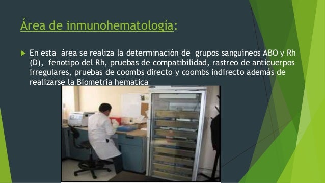Areas de un banco de sangre