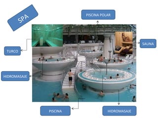 SPA HIDROMASAJE PISCINA POLAR PISCINA SAUNA TURCO HIDROMASAJE 