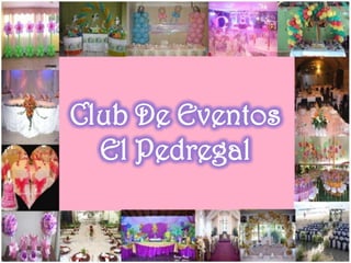 Club De Eventos El Pedregal 