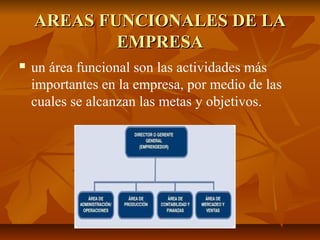 AREAS FUNCIONALES DE LA
            EMPRESA
   un área funcional son las actividades más
    importantes en la empresa, por medio de las
    cuales se alcanzan las metas y objetivos.
 
