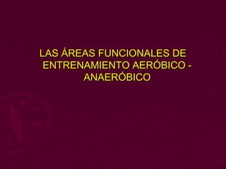 LAS ÁREAS FUNCIONALES DE
 ENTRENAMIENTO AERÓBICO -
       ANAERÓBICO
 